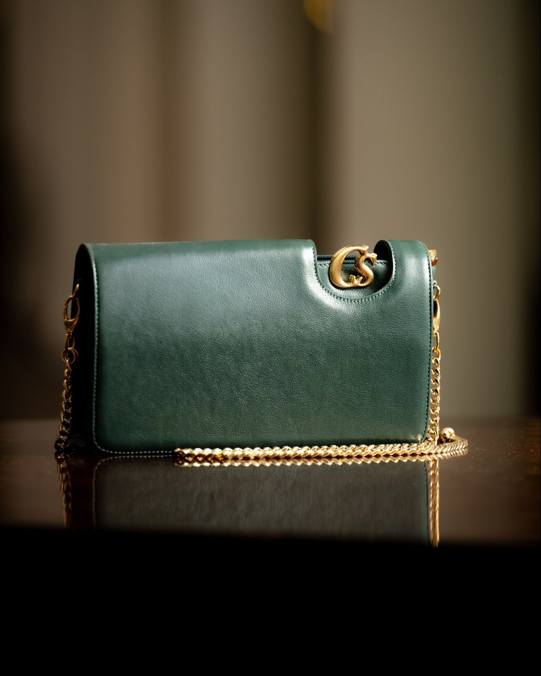 Bolsa Carmen Steffens verde — exclusivo grupo VIP